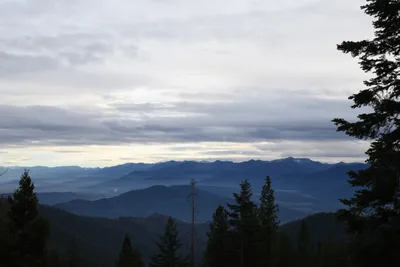 DSC_0070 (Large).JPG